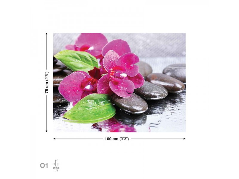 Canvastavla Flowers Orchids Stones Pink (PP2506O1)